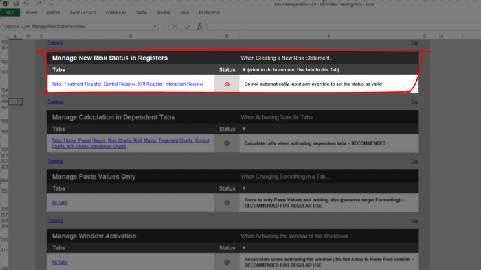 Risk Template in Excel - Manage New Risk Status Section