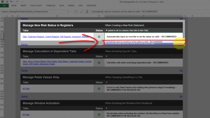 Risk Template in Excel - Manage New Risk Status Section: Drop Down List